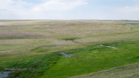 Гора Змеиная (у с. Энбекши). Июнь 2021 года
