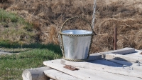 Родник Золотой колос (родник Журавлик)