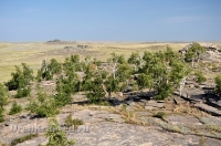 Карабутакский гранитный массив (скалы Шонкал). Июль 2012 года