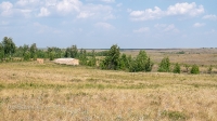 Лес Сибай. Июнь 2021 года