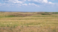 Урочище Чертово Городище. Июнь 2020 года