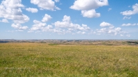 Урочище Чертово Городище. Июнь 2020 года