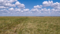 Урочище Чертово Городище. Июнь 2020 года