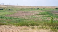 Озеро Купа (Гайнуллинское)