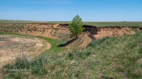 Ащебутакский обрыв. Май 2021 года