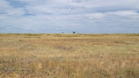 Соколовская степь