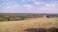 Гора Янгизка