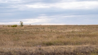 Ясная степь