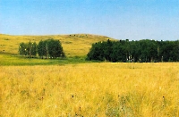 Гусихинский вулкан