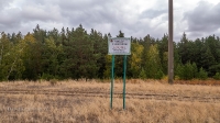 Аландский бор. Сентябрь 2021 года