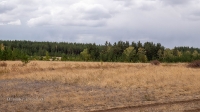 Аландский бор