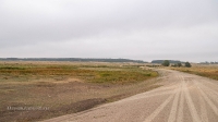 Андрианопольский бор. Август 2021 года