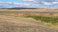 Бриентские Каменные ворота. Сентябрь 2021 года