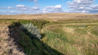 Бриентские Каменные ворота. Сентябрь 2021 года