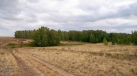Колок Шестая бригада