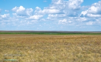 Озеро Батпакты. Июнь 2025 года