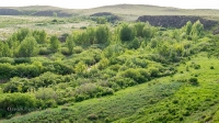 Усть-Карабутакские утесы на Кумаке. Май 2021 года