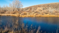 Иссергужинские утесы на реке Кумак