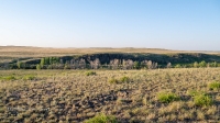 Тастыбутакское ущелье на реке Кумак. Май 2021 года