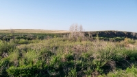 Тастыбутакское ущелье на реке Кумак. Май 2021 года