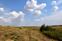 Абдулинский район