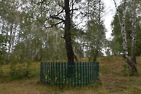 Шарлыкский район