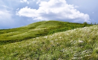 Гора Крутая