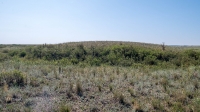 Курганная группа западнее села Тамар-Уткуль