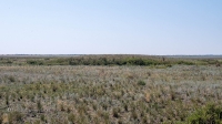 Курганная группа западнее села Тамар-Уткуль