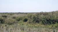 Курганная группа западнее села Тамар-Уткуль