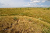 Курган