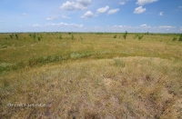 Курган