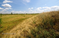 Курган