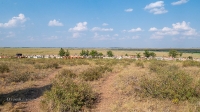 Могила народного героя Естекбая Бесбаева. Июнь 2021 года