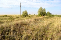 Чапаевские колки, фрагмент вала Перовского