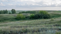 Старо-Ордынский овраг