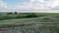 Старо-Ордынский овраг