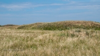 Орловские рудники