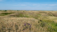 Сакмарский район