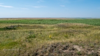 Рудники у Косматой Шишки