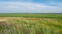 Рудники у Косматой Шишки