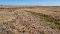 Акбулакский район