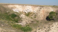 Беляевский район