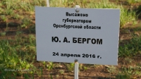 Адамовский район