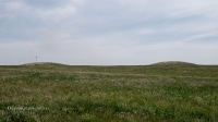 Курганы у дороги Гай-Оренбург