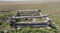 Родник близ посёлка Никольск