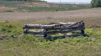 Родник близ посёлка Никольск