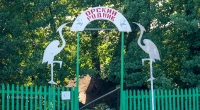 Орский родник. Июнь 2019 года