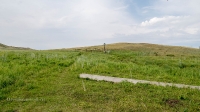 Родник близ деревни Покурлей