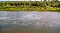 Река Сакмара